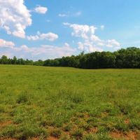Cattle Farm with 2 Ponds images 6