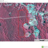 44 Acres South MS Land for Sale Bude  Franklin County  MS images 4
