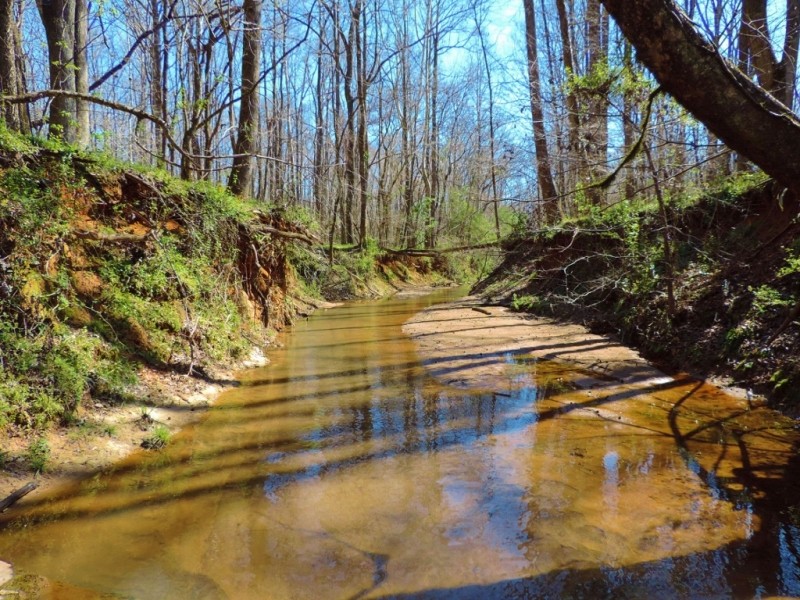Big Creek Frontage &nbsp; Hardwood featured image