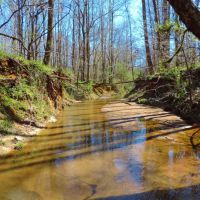 Big Creek Frontage &nbsp; Hardwood
