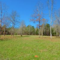 Big Creek Frontage &nbsp; Hardwood images 4