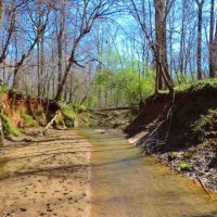 Big Creek Frontage &nbsp; Hardwood images 5