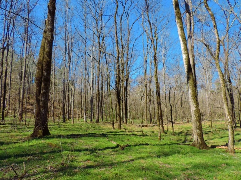 Timber  Home &nbsp;  Pond featured image