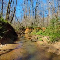Timber  Home &nbsp;  Pond images 2