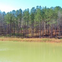 Timber  Home &nbsp;  Pond images 6