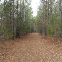 North  Butts Co. near McDonough images 4