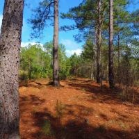 Reduced  20k - Great Hunting Get-A-Way images 3