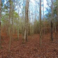 Reduced  20k - Great Hunting Get-A-Way images 4