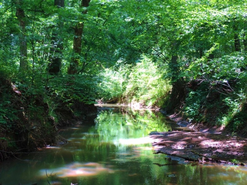 REDUCED  WMA Frontage  Cabin &nbsp;  Creek featured image