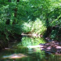 REDUCED  WMA Frontage  Cabin &nbsp;  Creek