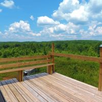 REDUCED  WMA Frontage  Cabin &nbsp;  Creek images 4