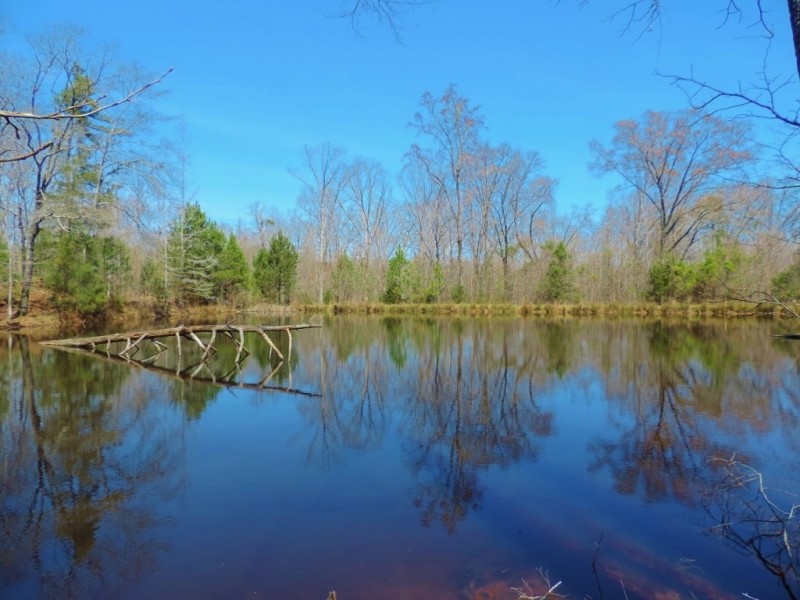 Pastureland  Timber  and 3 Ponds featured image