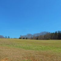 Pastureland  Timber  and 3 Ponds images 2
