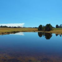 Pastureland  Timber  and 3 Ponds images 3