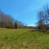 Pastureland  Timber  and 3 Ponds images 6