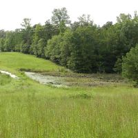 Jones Woods - Hunting &nbsp; Homesite images 4