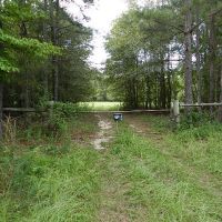 Jones Woods - Hunting &nbsp; Homesite images 6