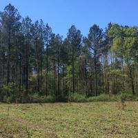 Balls Ferry River Retreat images 3