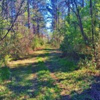 Balls Ferry River Retreat images 4