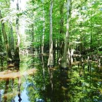 Balls Ferry River Retreat images 6