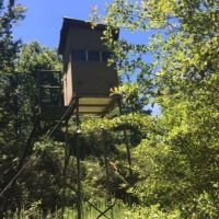75 Acres Magnolia Progress Road