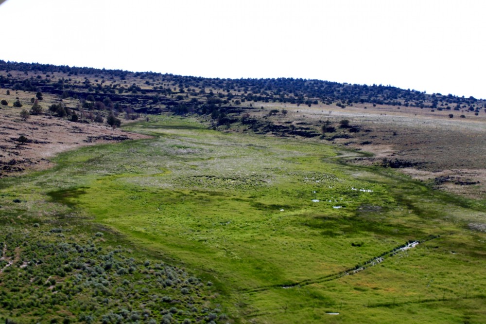 Observation Peak featured image