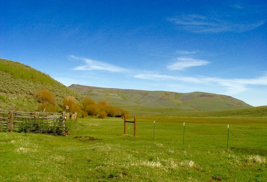 Kunz Ranch featured image