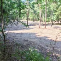 156 Acre Hunting Tract Hardwoods Creek Wilkinson County MS images 5