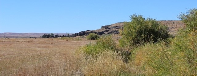 Frank s Place Ranch featured image