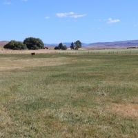 Frank s Place Ranch images 4