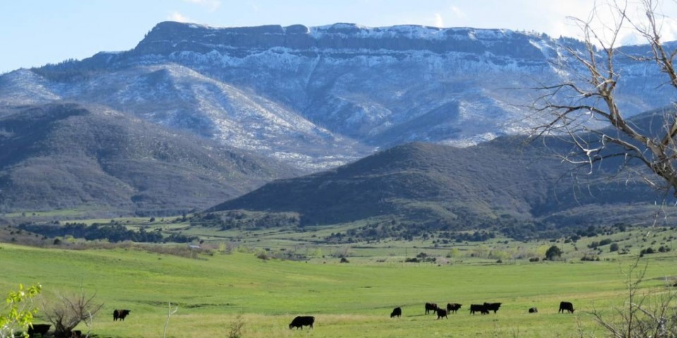 Sandoval Ranch featured image