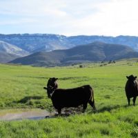 Sandoval Ranch images 2