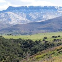 Sandoval Ranch images 4