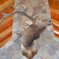 Little Mack Creek images 6