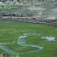 Parlin Darlin Ranch images 2
