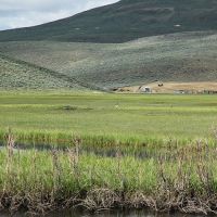 Parlin Darlin Ranch images 3
