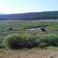 Parlin Darlin Ranch images 4