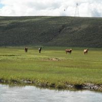Parlin Darlin Ranch images 5