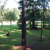 75 Acres with a Cabin in Simpson County at 198 Johnny Brown Road in Mendenhall  MS
