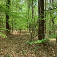 80 Acres in Lincoln County in Brookhaven  MS