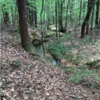 80 Acres in Lincoln County in Brookhaven  MS images 4