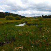 Frenchman Meadow Retreat images 2