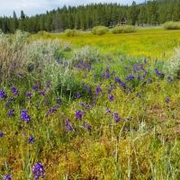 Frenchman Meadow Retreat images 4