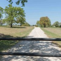 140 AC Cattle &nbsp; Hay Ranch on Brazos River images 4