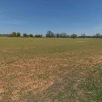140 AC Cattle &nbsp; Hay Ranch on Brazos River images 5
