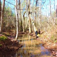 Woods Rd. Tract images 2