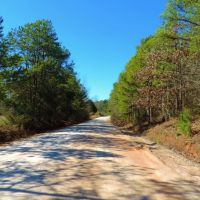 Woods Rd. Tract images 5