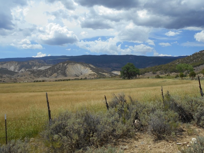 White Ranch featured image