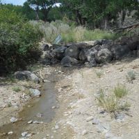 White Ranch images 3