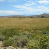 White Ranch images 4